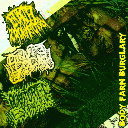 Punctured Esophagus : Body Farm Burglary